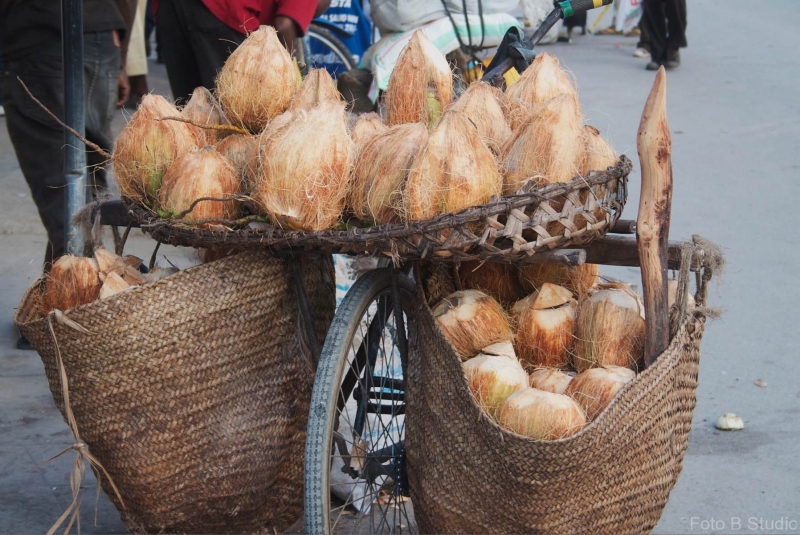 Coconuts to Go